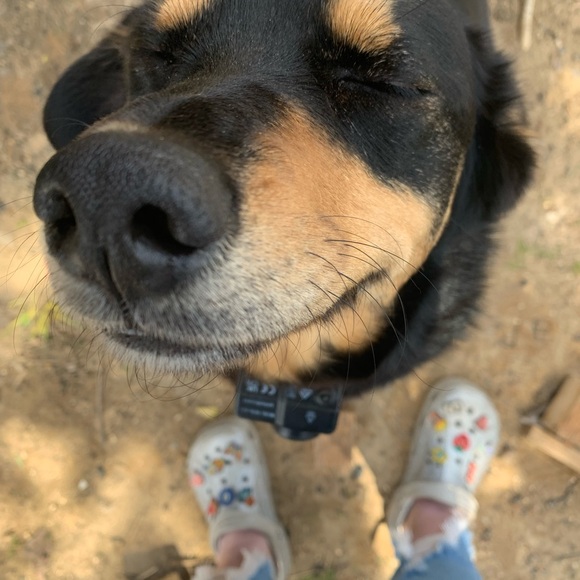 Meet your Posher, Steph marie - Picture 4 of 8